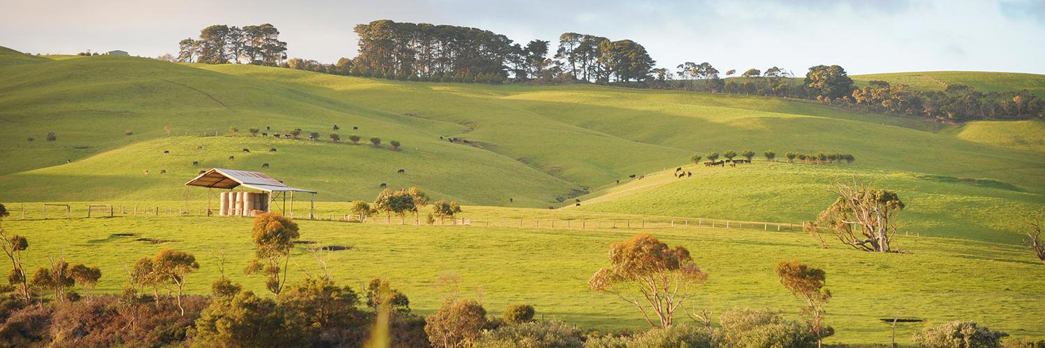 Bass Coast Shire banner