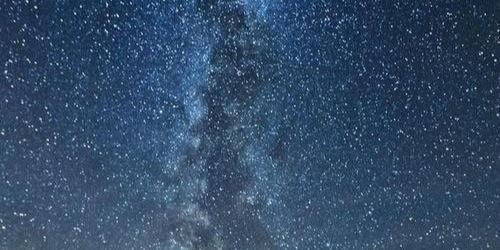 SarcasmStruggle's profile banner image
