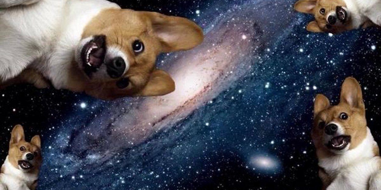 NinaRPGDDB's profile banner image