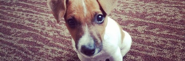 KeonDDBroxton Profile Banner