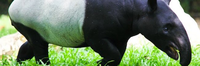 jamestingey's profile banner image