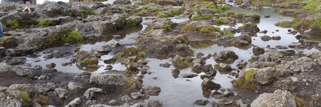 Ecosystems Journal banner