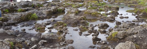 EcosystemsJ Profile Banner