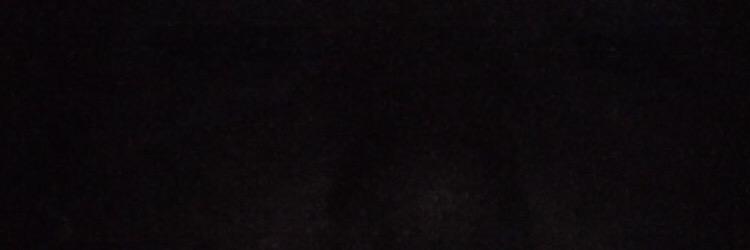 EliteFourDoon's profile banner image