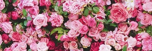 SabrinaTaylor__'s profile banner image