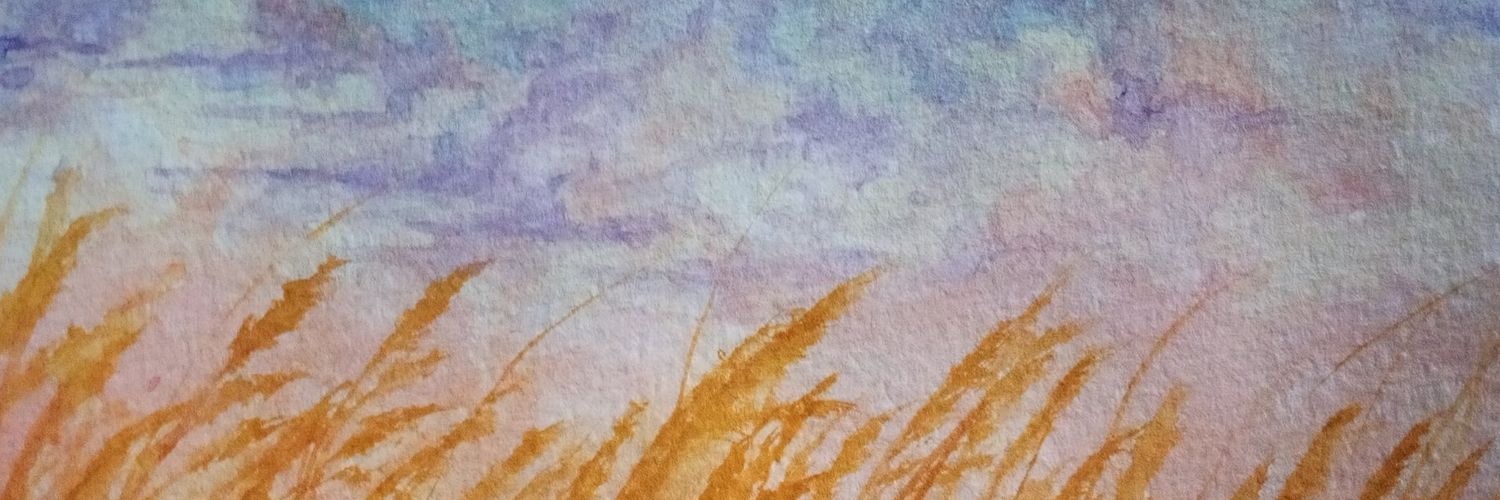 fjas_ari's profile banner image
