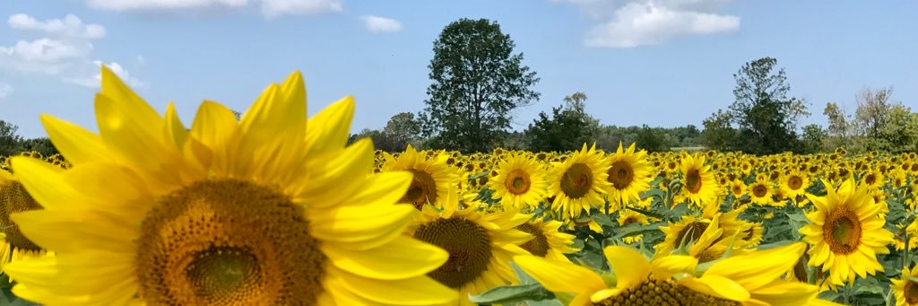Bonanno_OA's profile banner image