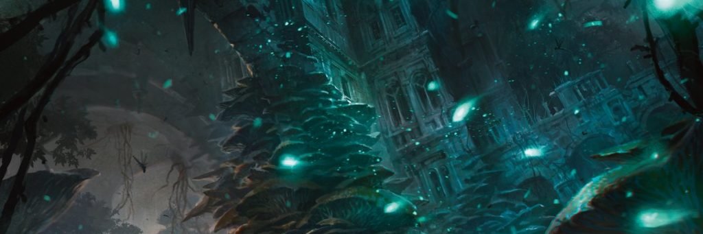 JCWijma's profile banner image