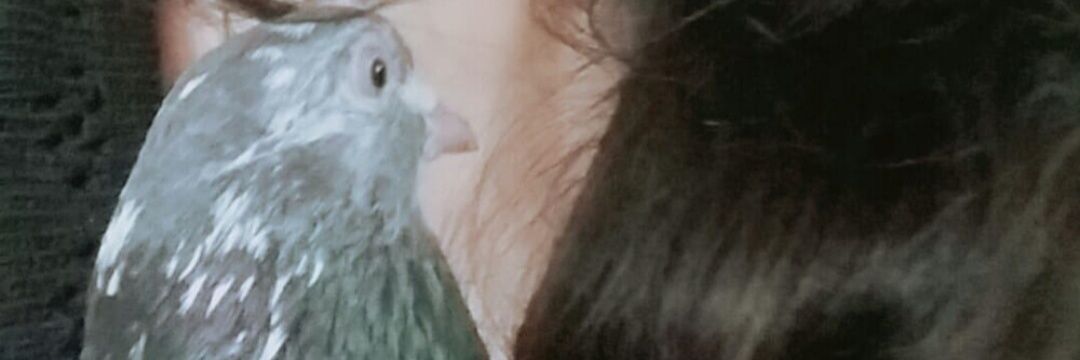 samarlicious's profile banner image