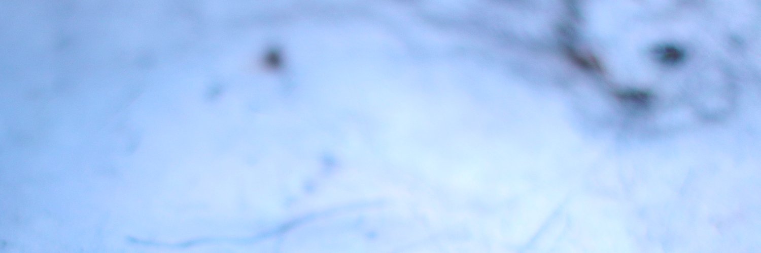 SomosECHO's profile banner image