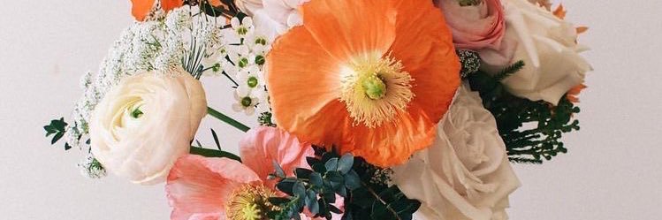 haleylinski's profile banner image