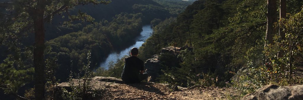 trevorarrow98's profile banner image