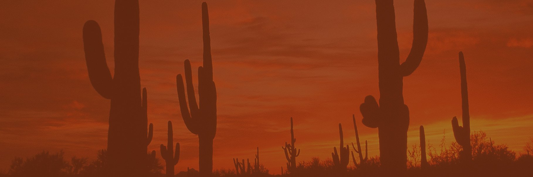 Open Ed Conference banner