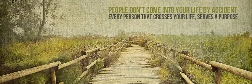 Kimberly  Shingleton banner