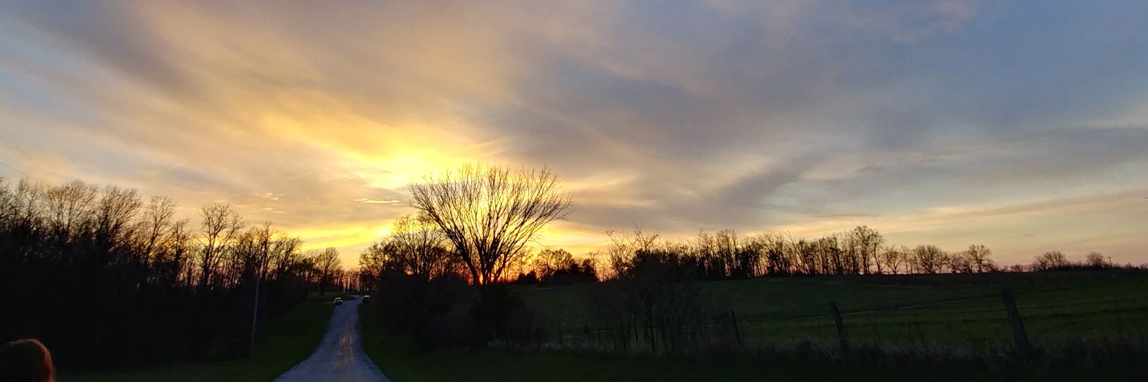 SarahS5741's profile banner image