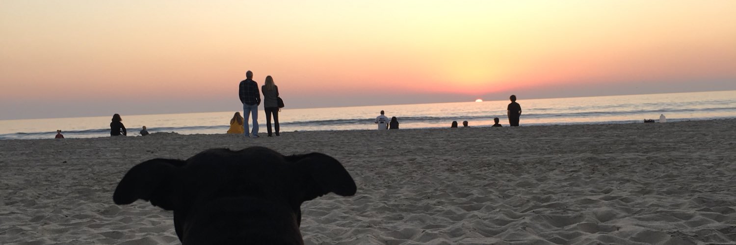 supersami33's profile banner image