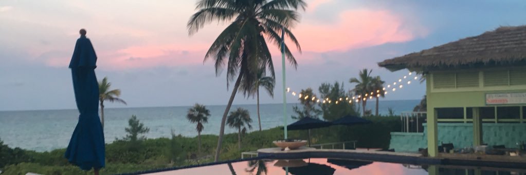 kathryncreehan's profile banner image