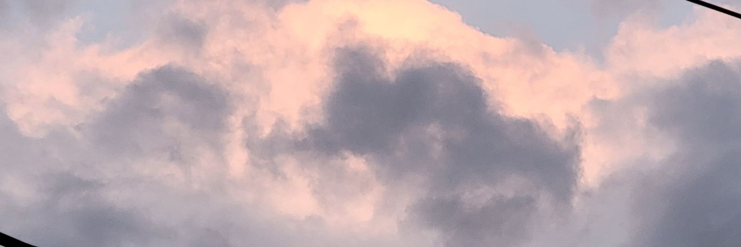 fuckboy solanas banner