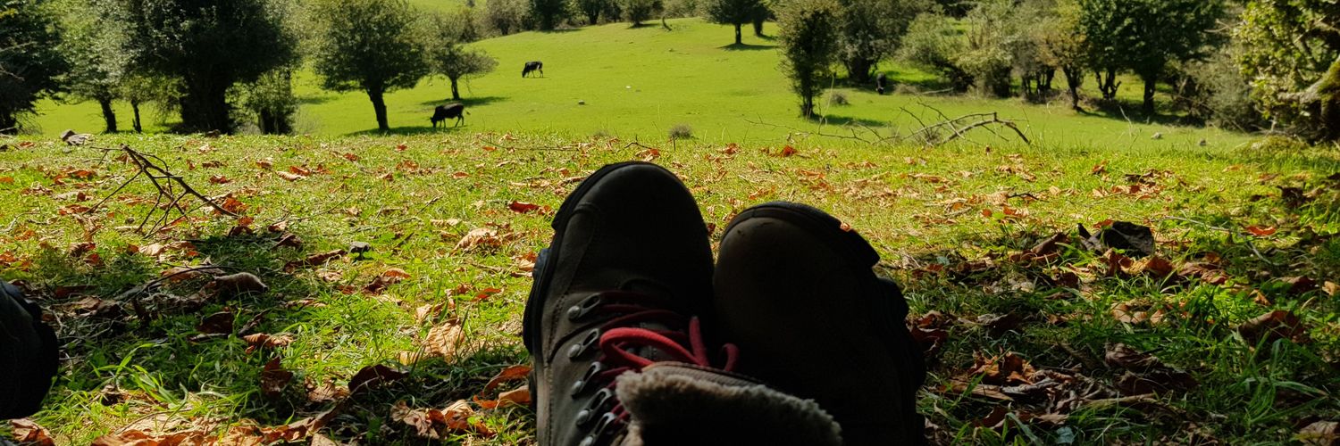 anonymousast's profile banner image