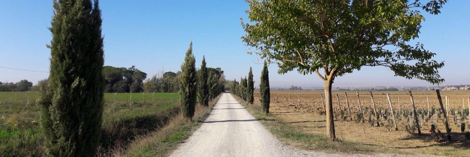 nlprozzo's profile banner image