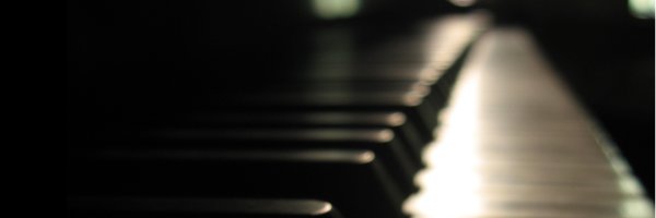 grazykoala Profile Banner