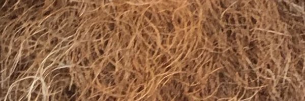 nmaherPT5 Profile Banner