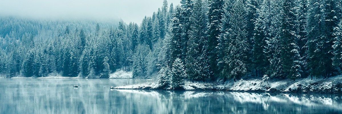 Temenhoff's profile banner image