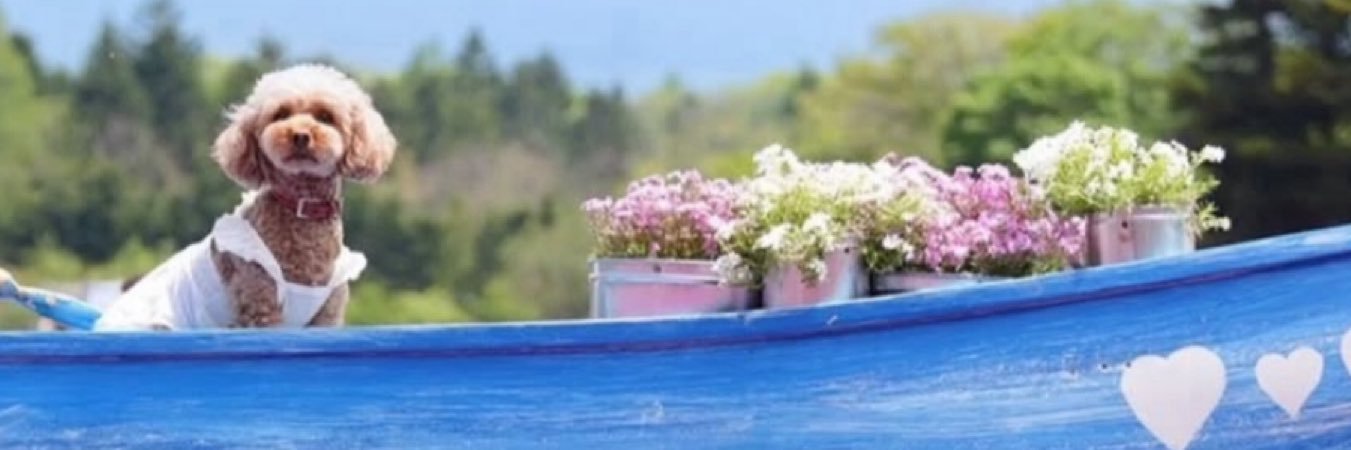 8clzzv's profile banner image