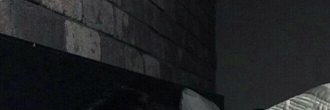 charmpgne's profile banner image