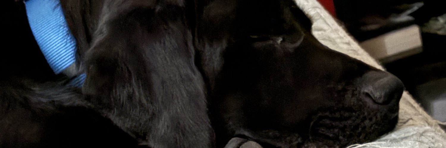 Hogdale_'s profile banner image