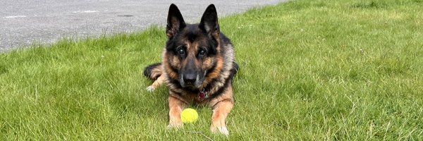 WisemanCap Profile Banner