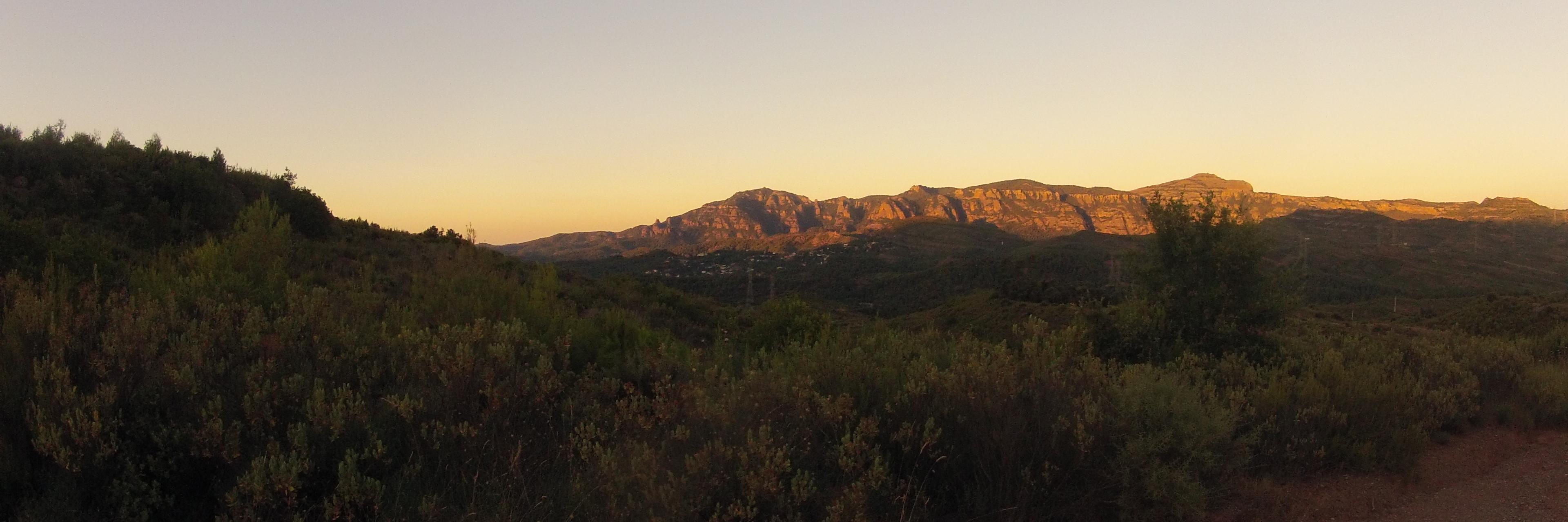 Agustí Morral banner