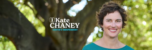 ChaneyforCurtin Profile Banner