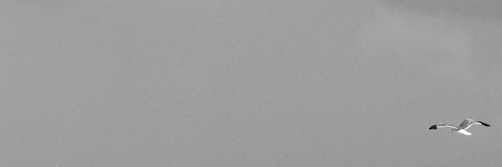 LearnAboutGuys's profile banner image
