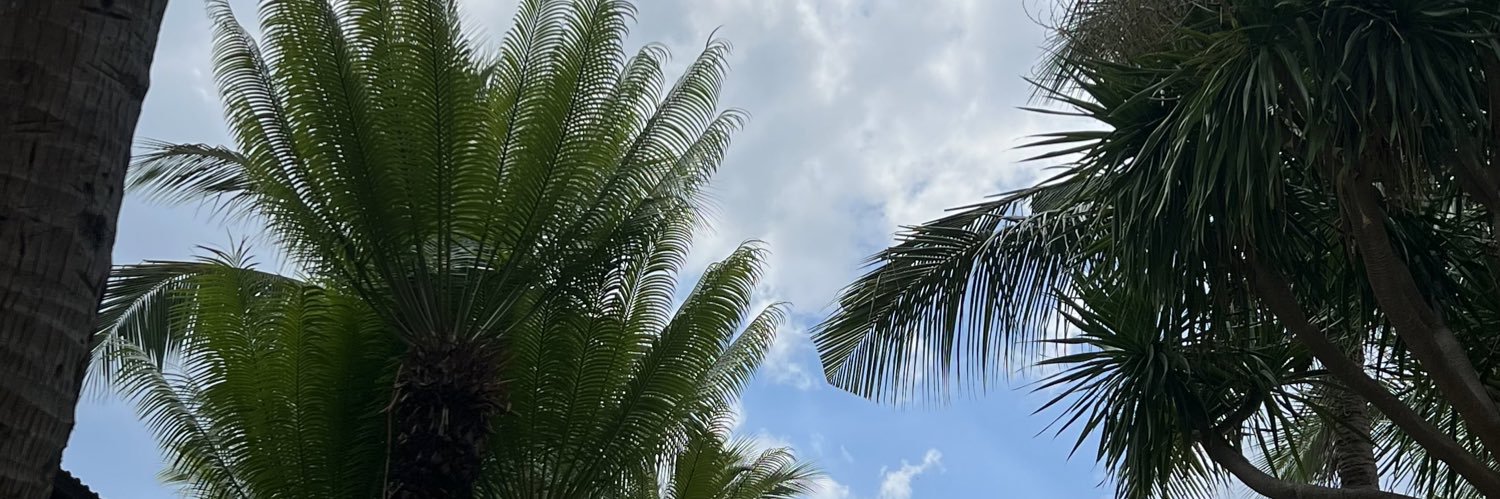 AnnaCalingasan's profile banner image