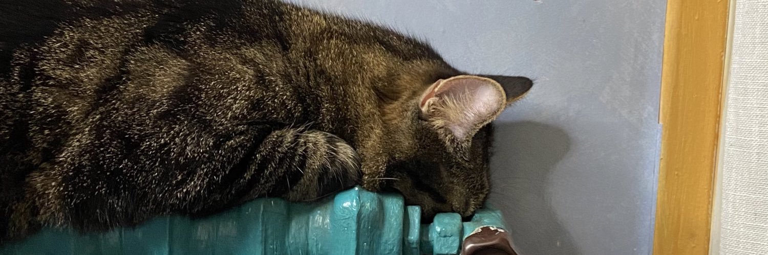 Théo Estager banner