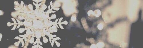 maybe_a_follow's profile banner image