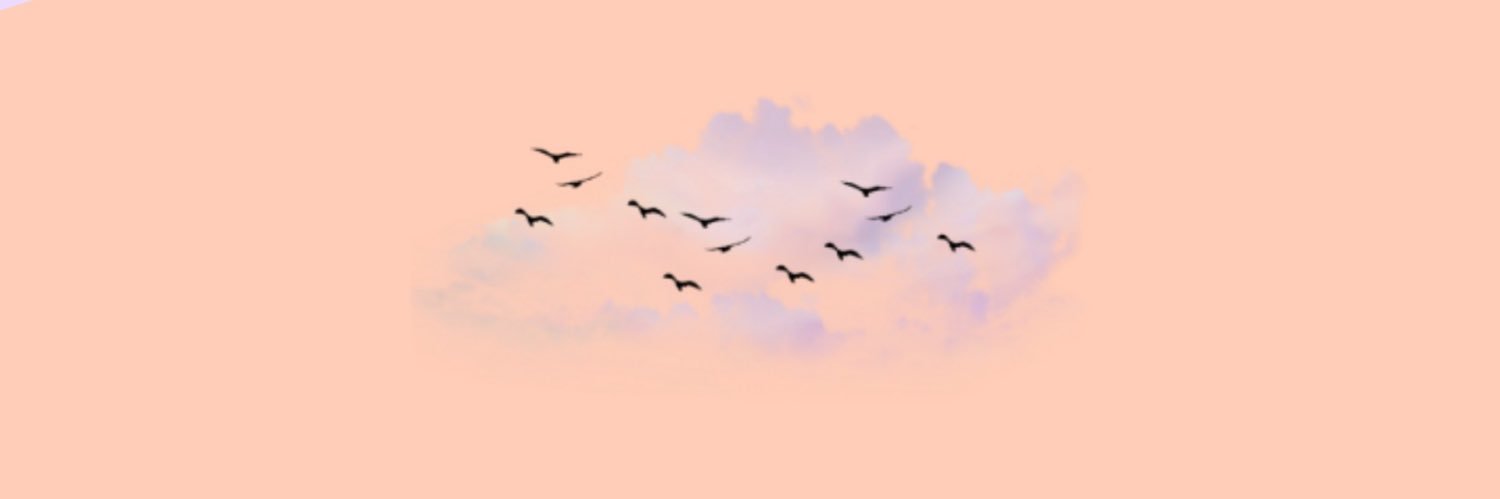 flashinaz's profile banner image