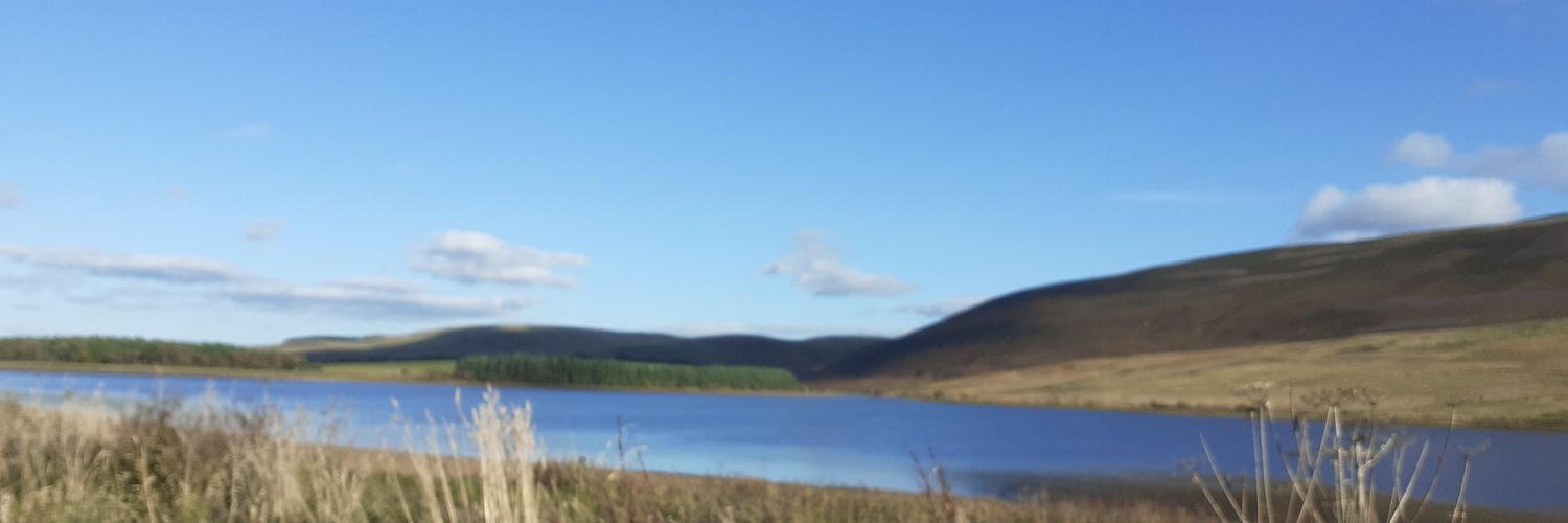 Jo_Walton's profile banner image