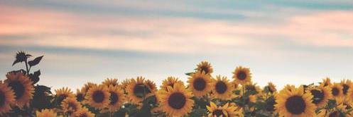 carlatg_'s profile banner image
