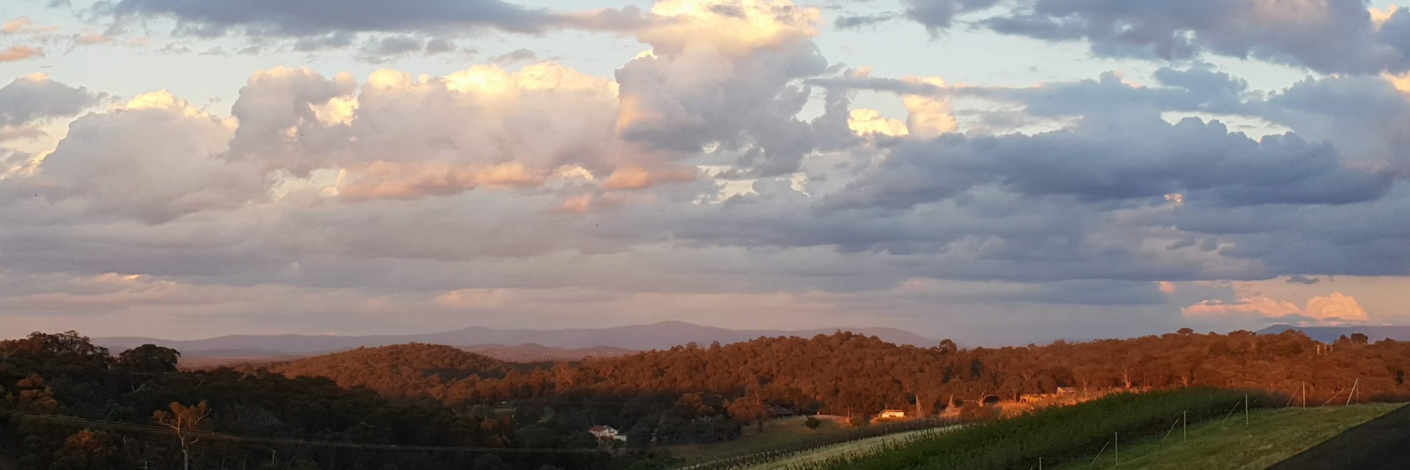 Ascelin Gordon banner