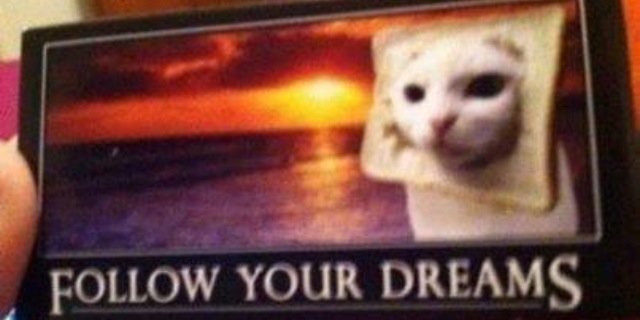 KayiGrierson's profile banner image