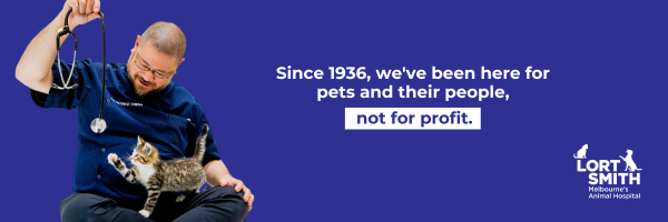 LortSmith Profile Banner