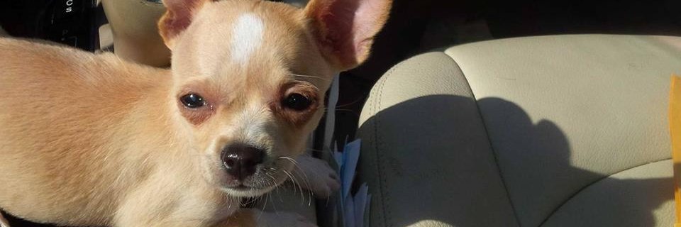 JoshKing2's profile banner image