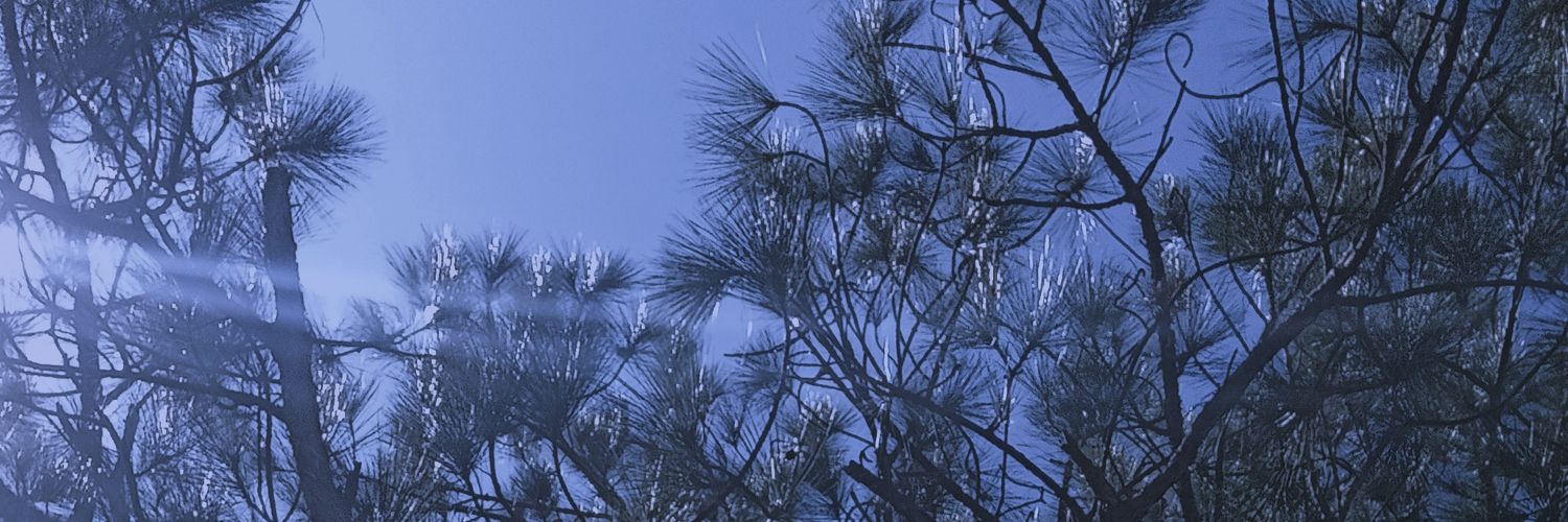 vmendez95's profile banner image
