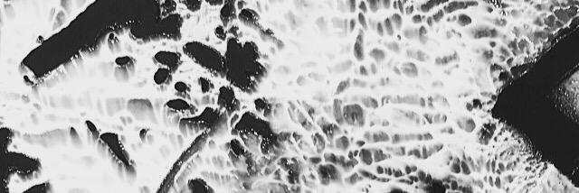 LydiaGarden's profile banner image