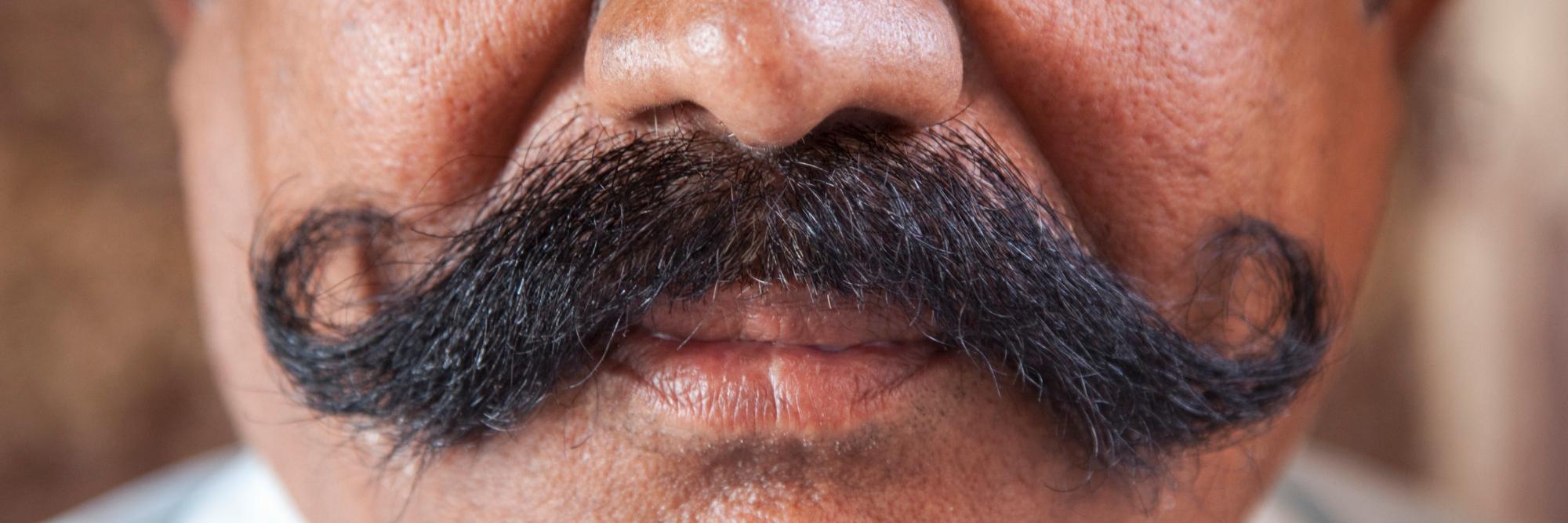 MousTAGGED's profile banner image