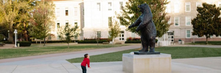 MSUBearBronze's profile banner image