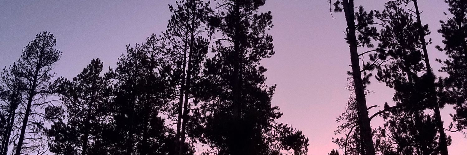 grumpy___spice's profile banner image