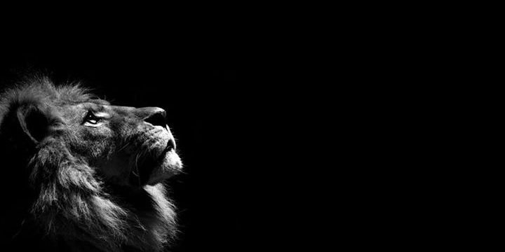 sjnfernando's profile banner image